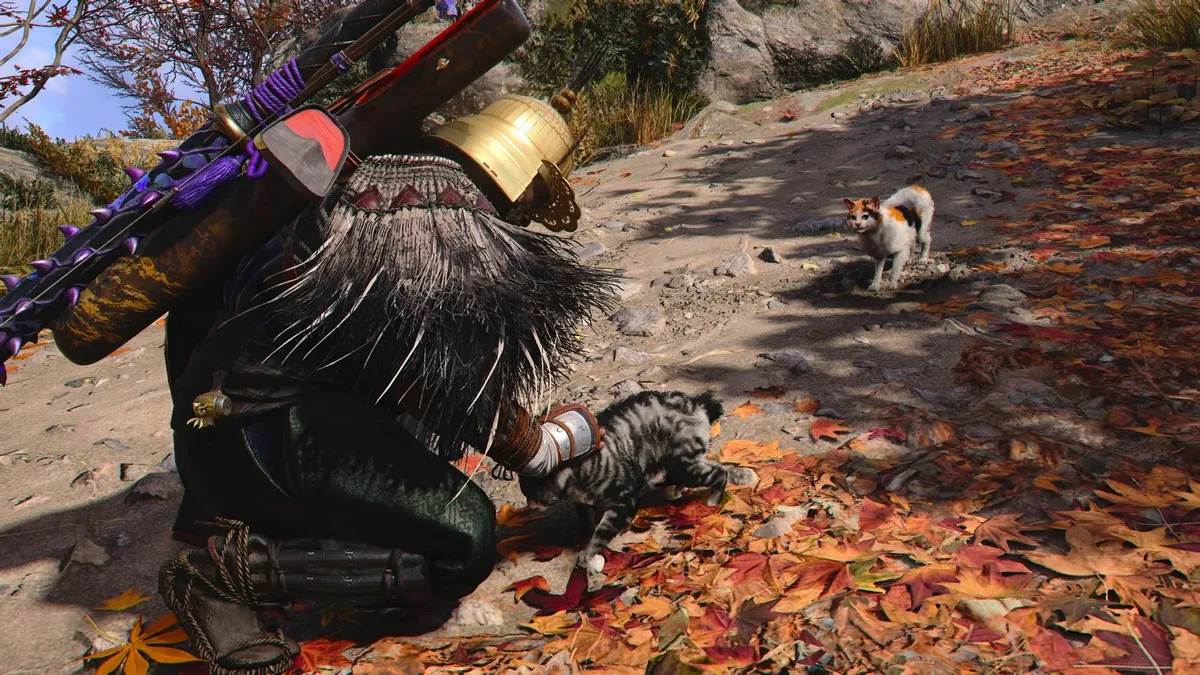 Where To Find the Cat Island in Assassin’s Creed Shadows 