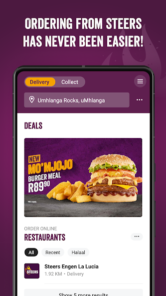 Steers