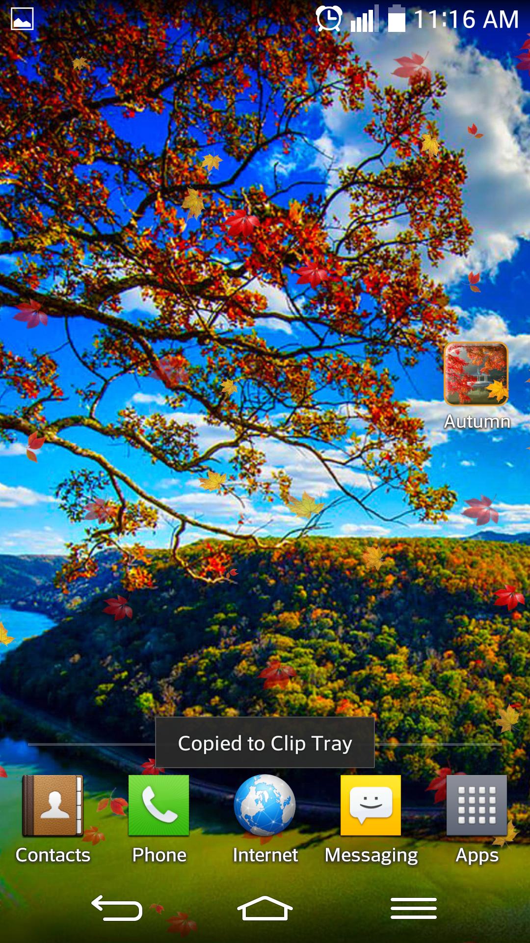 Autumn