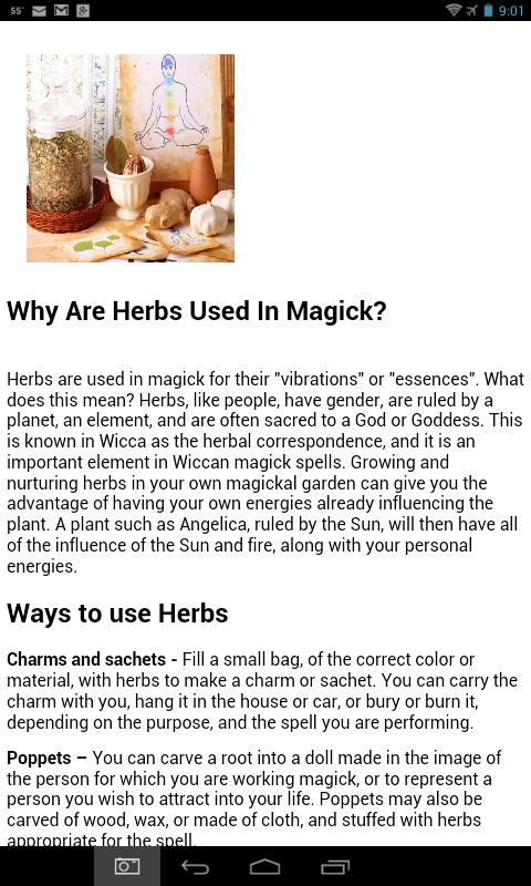 81 Magickal and Healing Herbs
