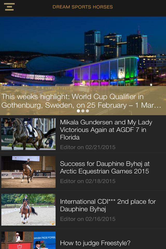 DreamSportsHorses