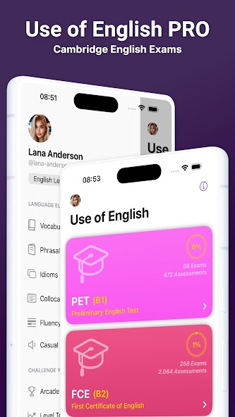 Use of English PRO