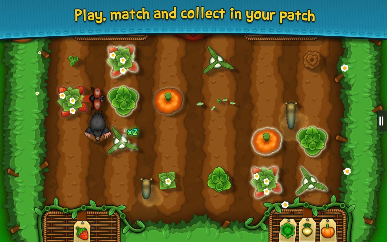 Pocket Garden