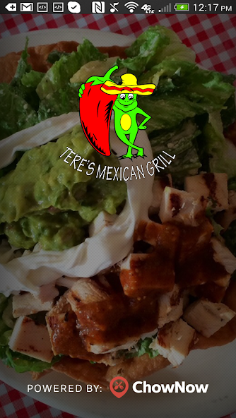 Tere's Mexican Grill