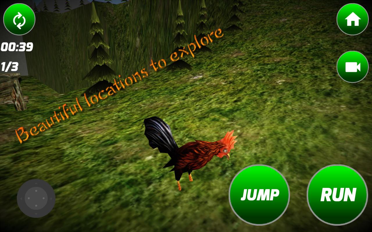 Big Rooster Simulator