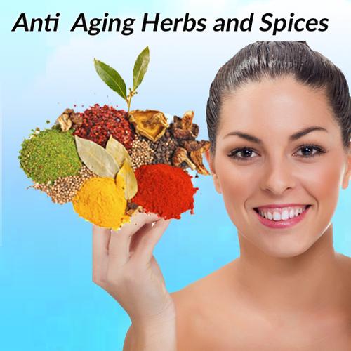Anti Aging Herbs and Spices