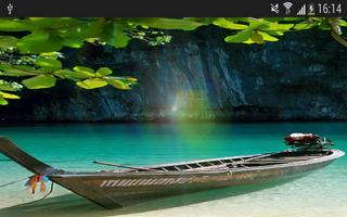 Sunshine Nature Leaf Wallpaper