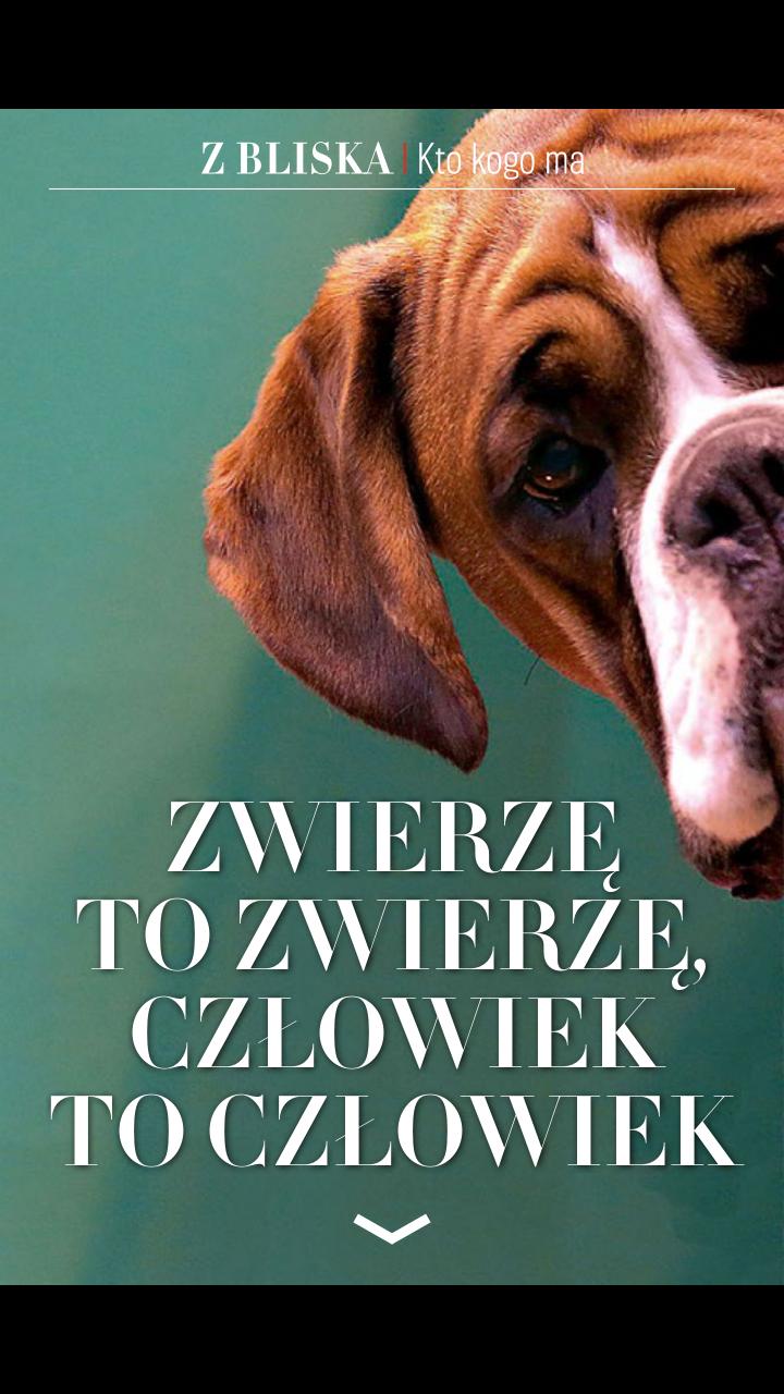 Wysokie Obcasy Extra