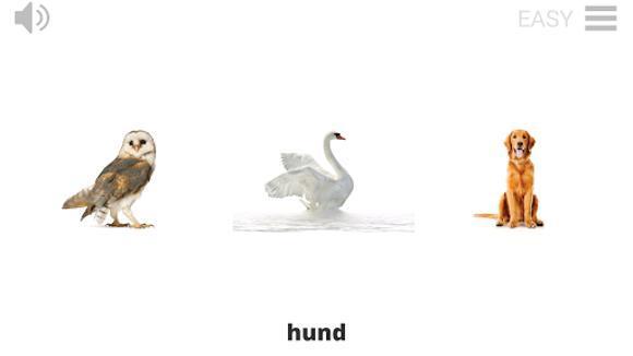 Lyrebird: Learn NORWEGIAN