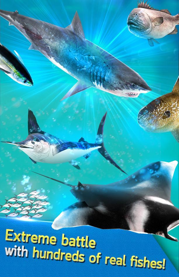 Fishing Fishing: Set The Hook!