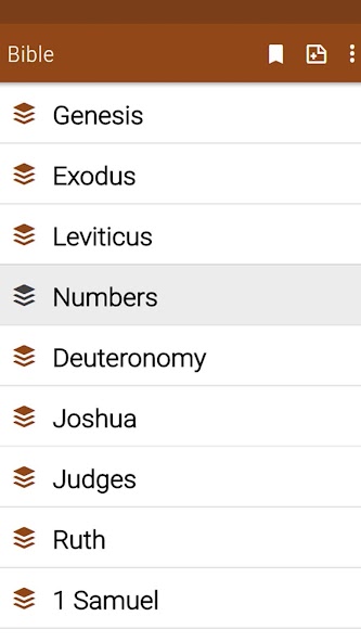 Bible with commentaries