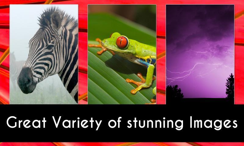 Wallpaper & Background Deluxe