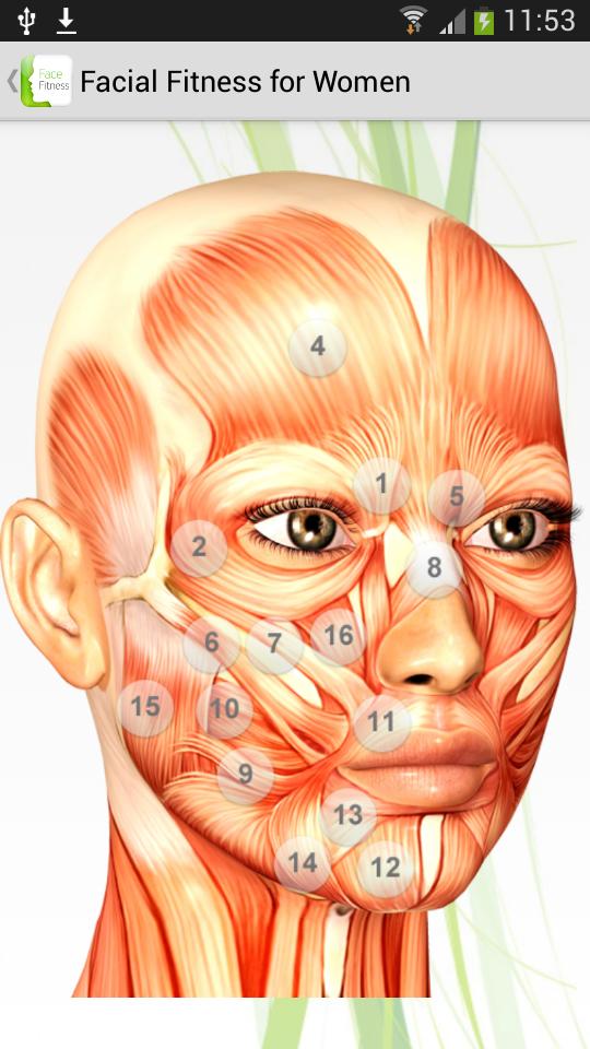 Facial Exercises Fitness-Yoga