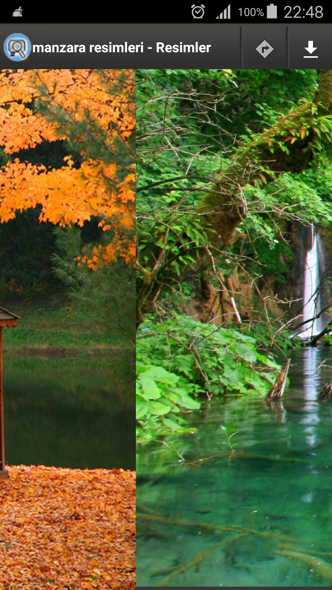 Search image Download