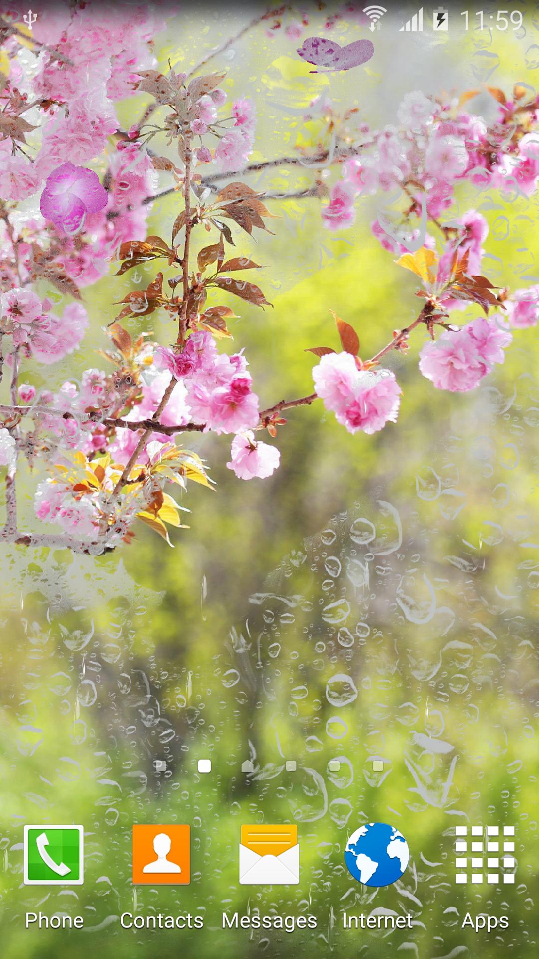 Sakura Garden Live Wallpaper
