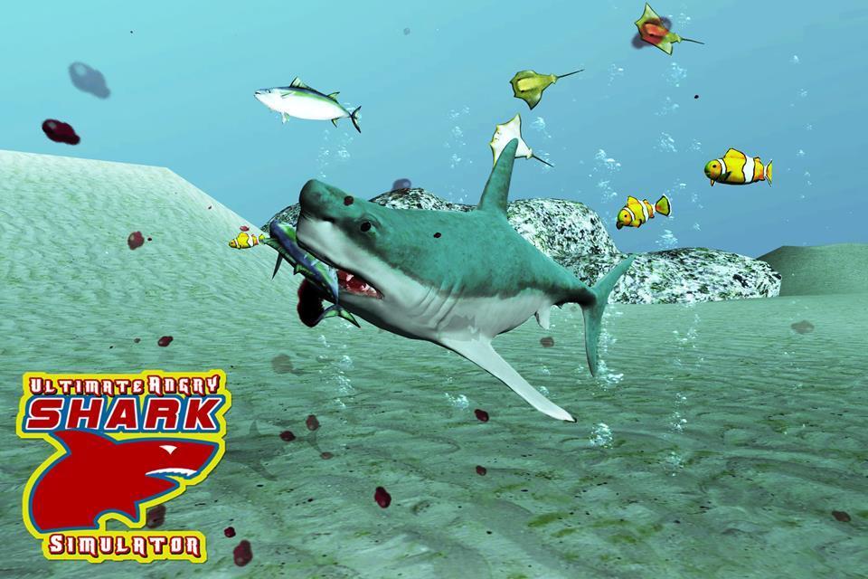 Angry Shark Simulator Game 3D