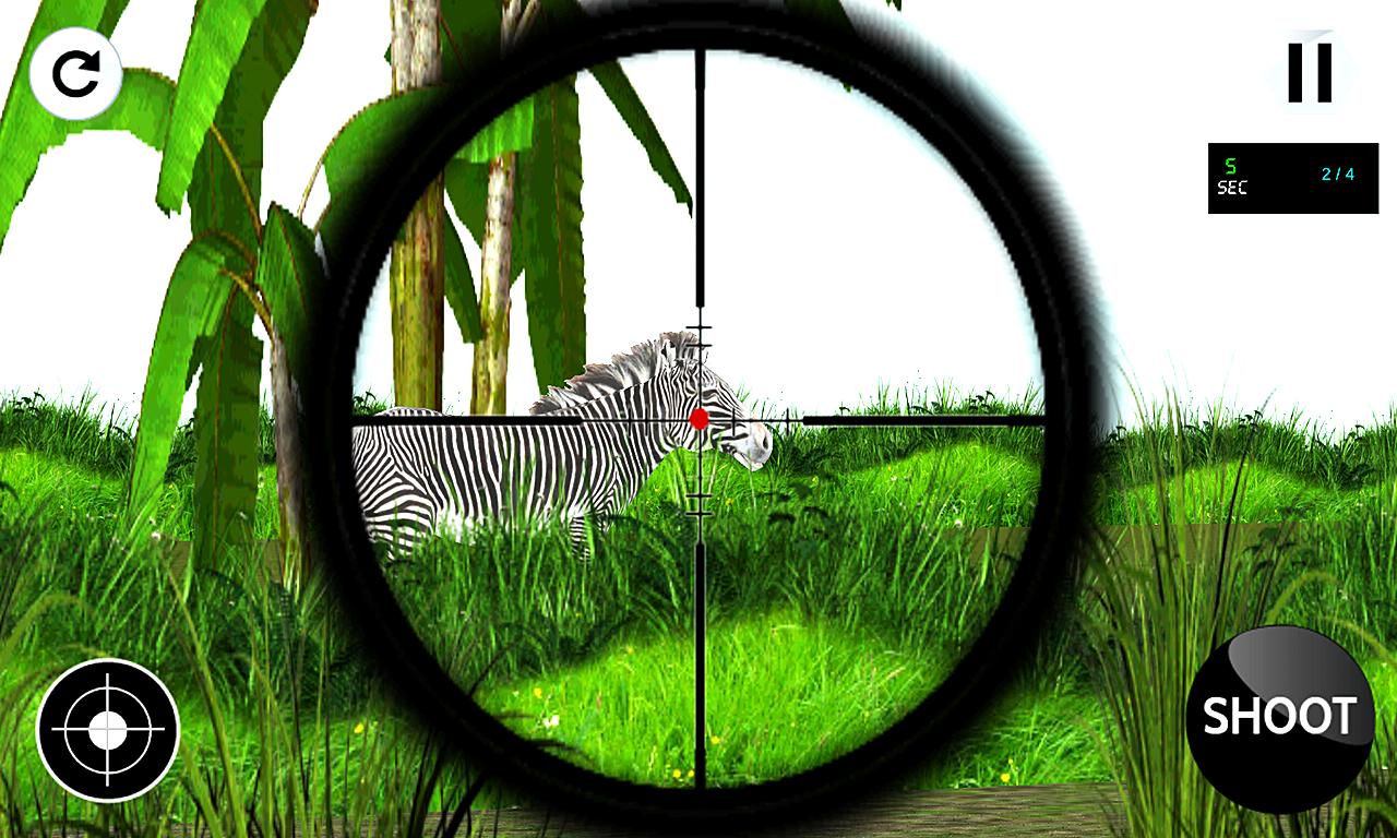 Sniper Zebra Hunting