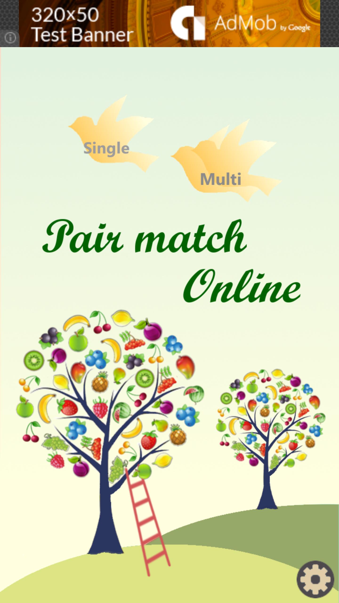 Pair Match Online