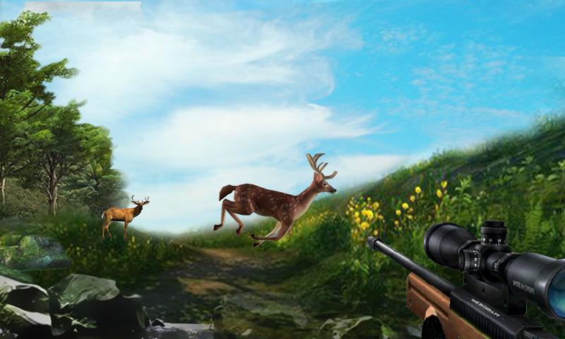 Hunt Deer In The Wild