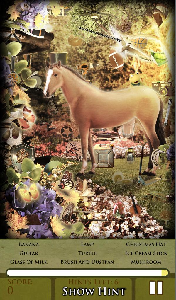 Hidden Object - Majestic Mares