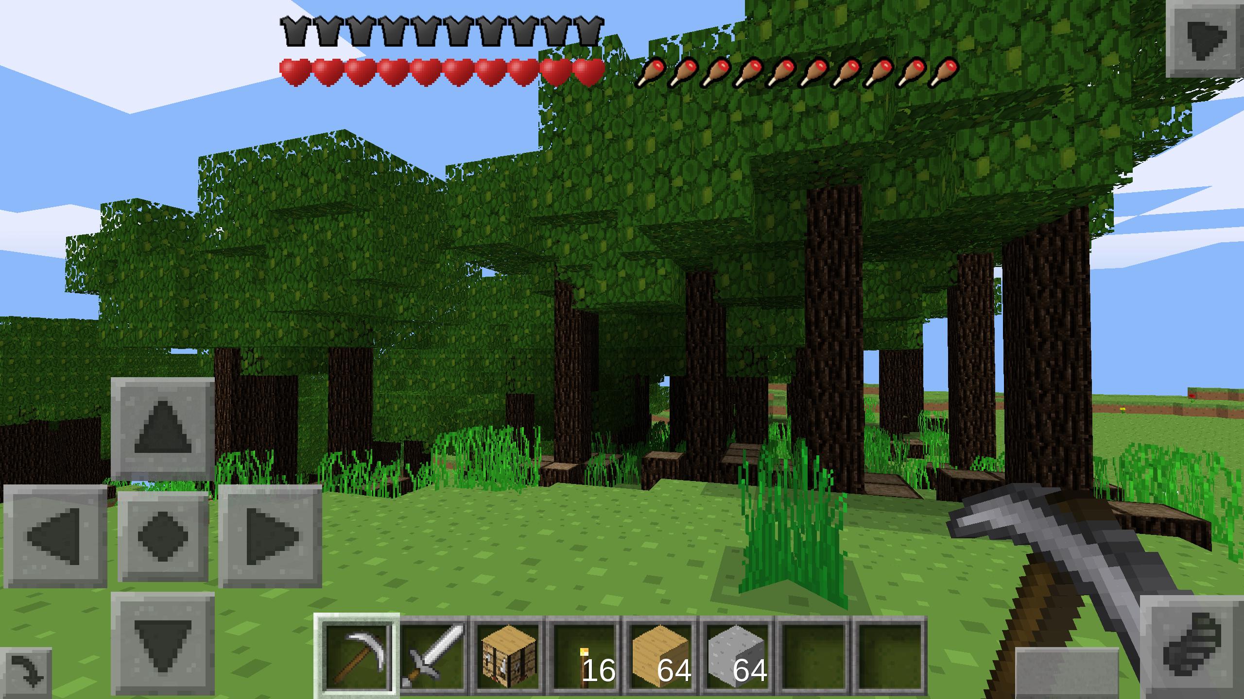 Play survival craft