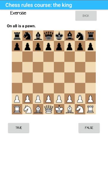 Chess rules part 2
