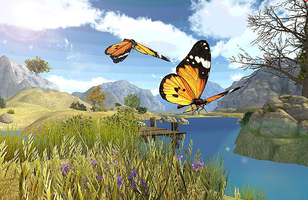 Butterfly 3D Simulator