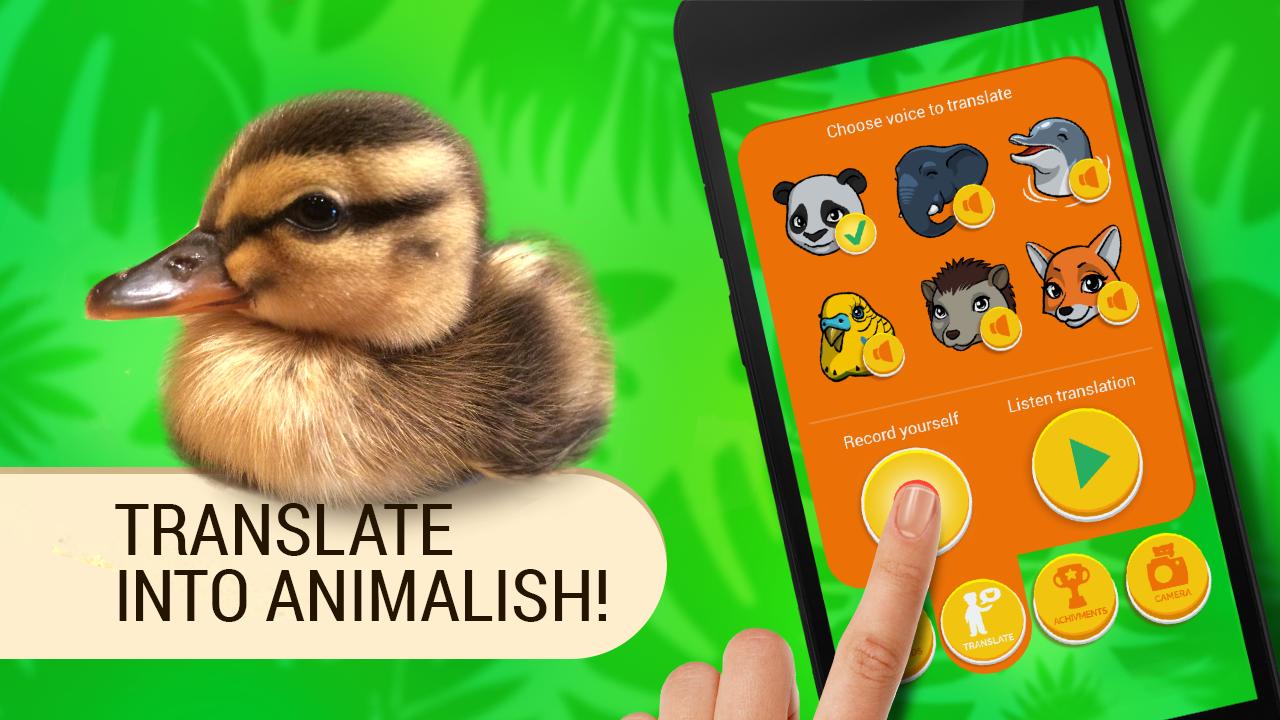 Translate Animals. Simulator