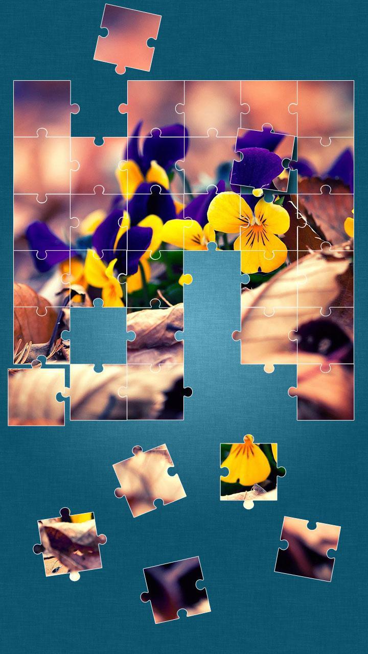 Flowers Puzzle Game
