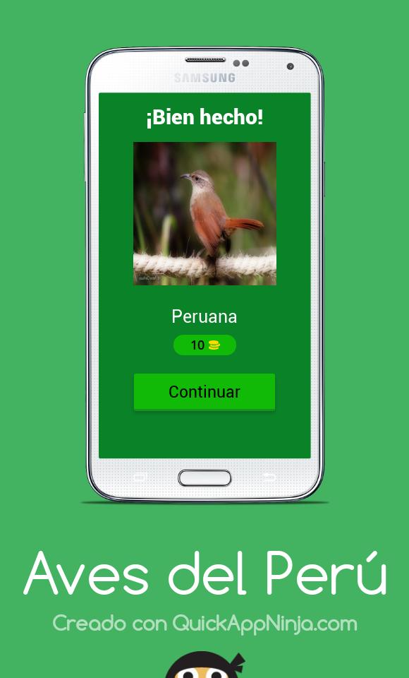 Birds of Peru