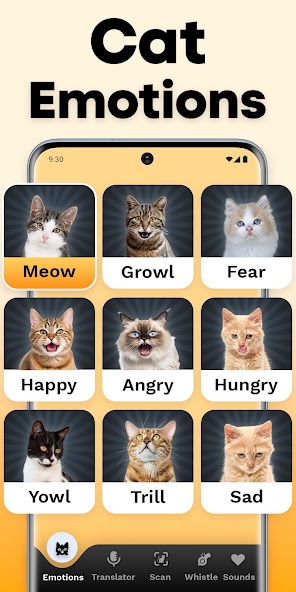 CatTranslator - Cat to Human