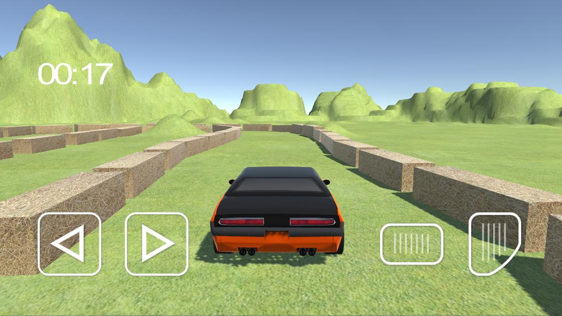 Race Ace