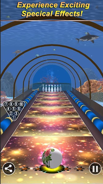 Bowling Paradise