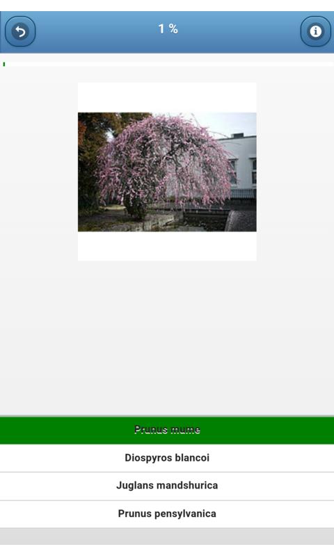 Fruit trees - quiz