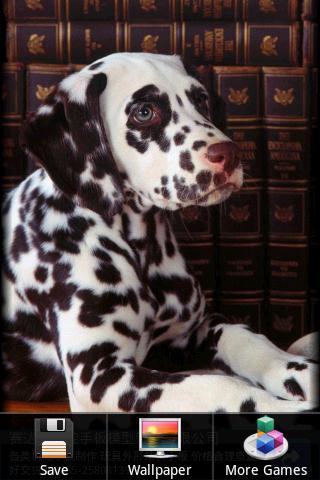 Dog Puzzle