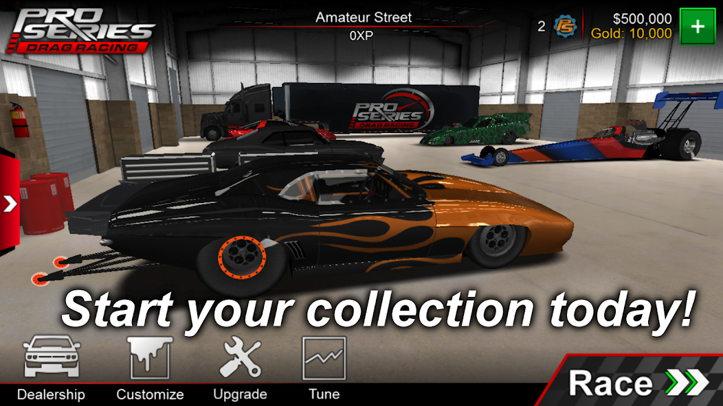 Pro Series