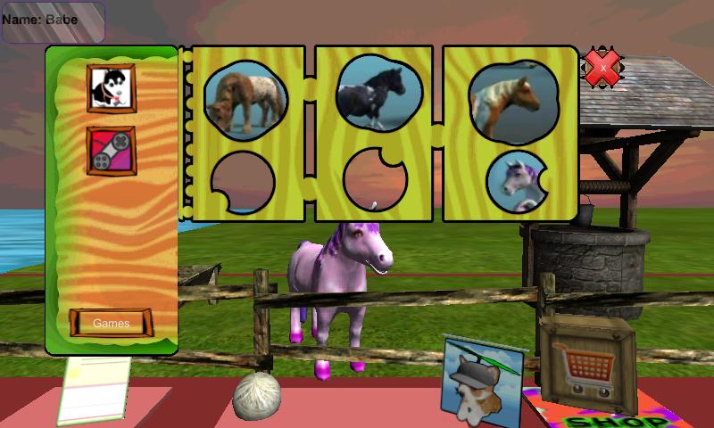 Pony Pet