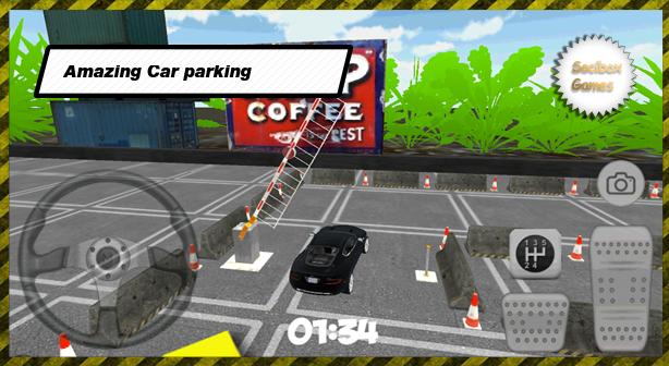 Extreme Luxury Parking