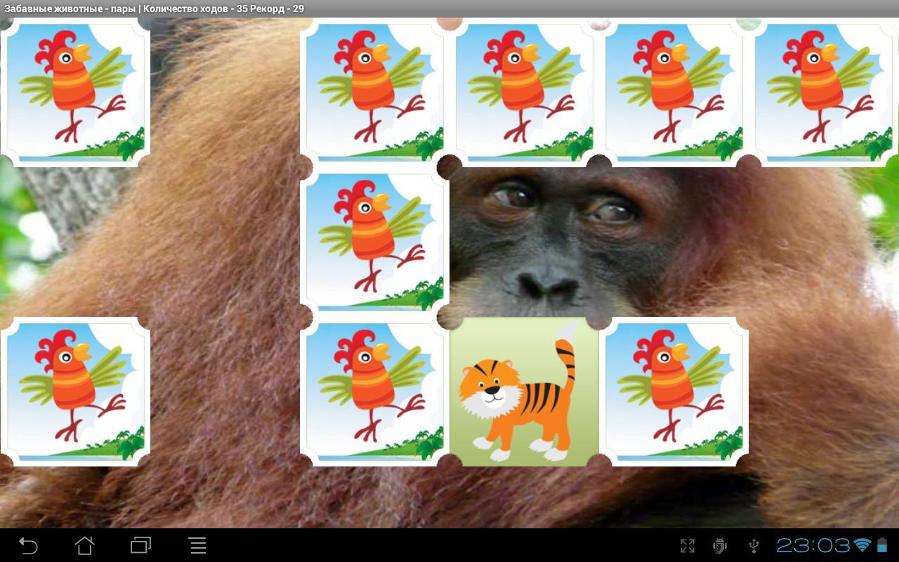 Funny Animal Pairs