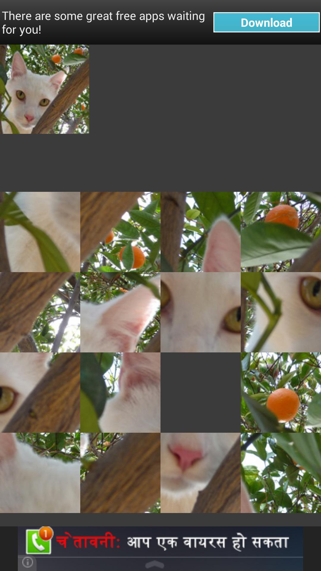 Image Puzzle
