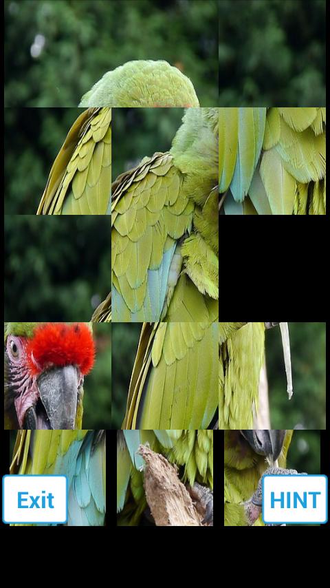 Jungle Puzzle