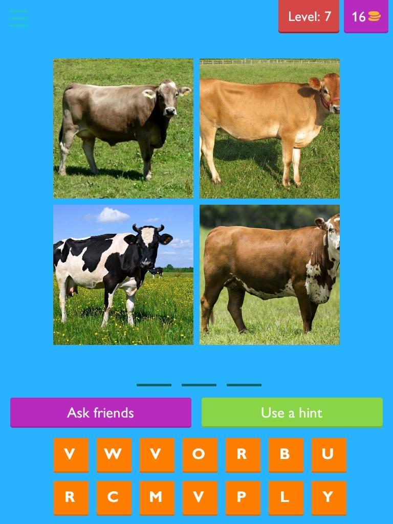 Quiz G.G