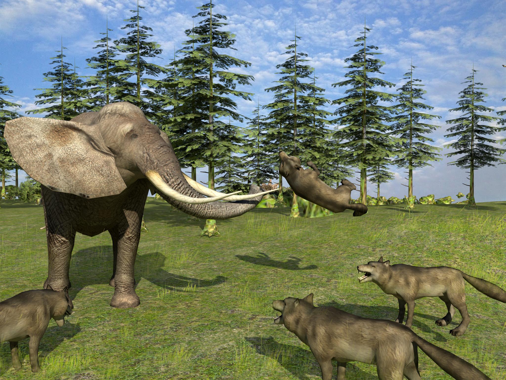 Forest Wild Life Simulator 3D