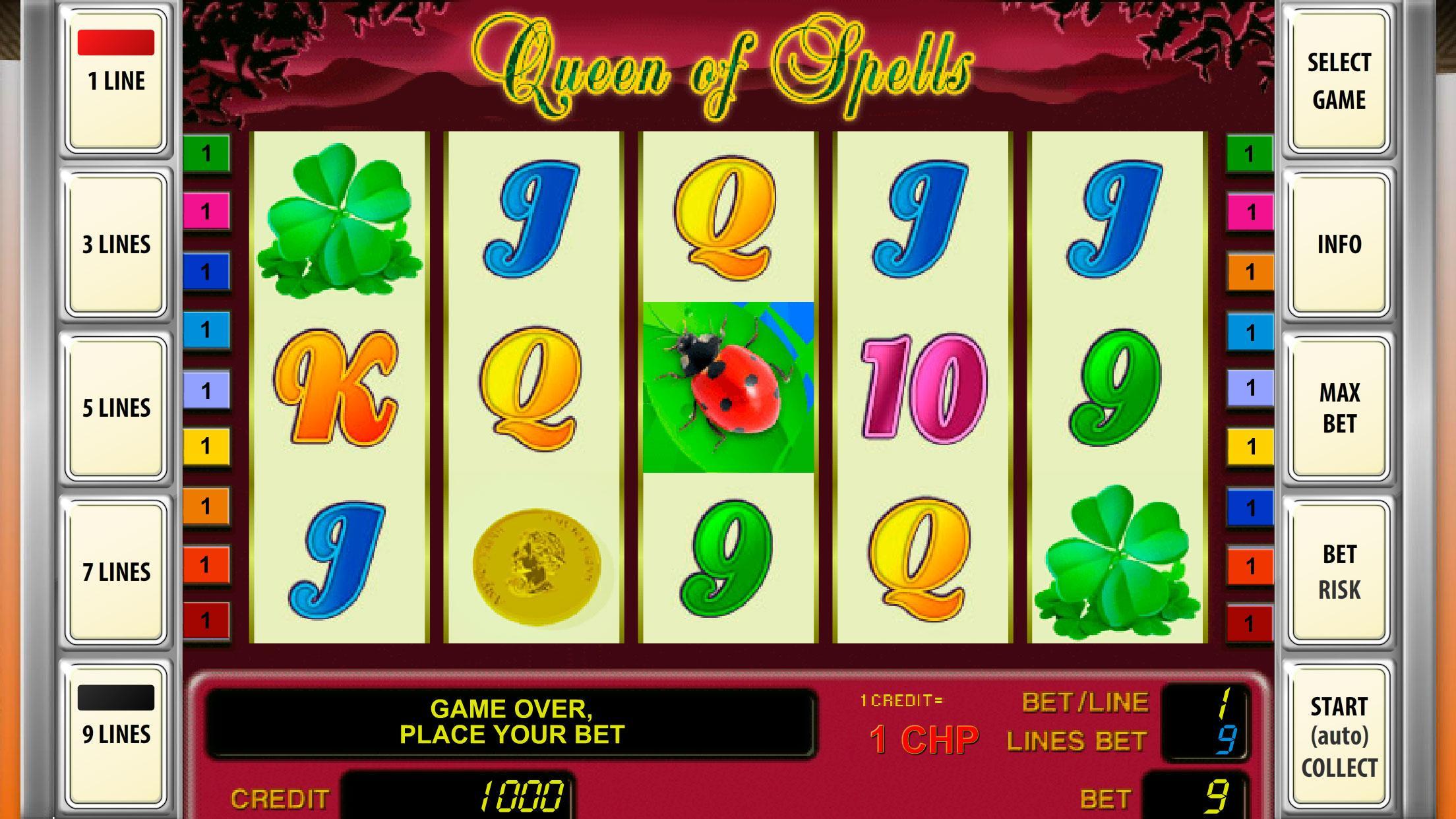 Lucky Bet