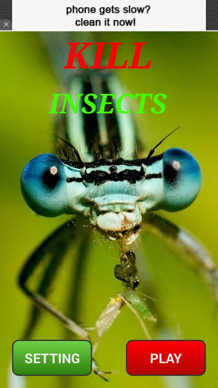 Kill Insects, Clean your home