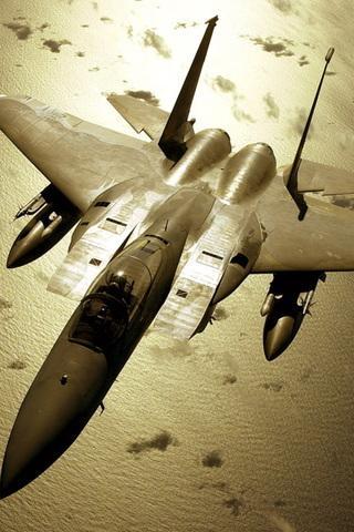 Fighter Puzzle