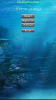 Feeding Frenzy Clownfish Games