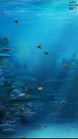 Feeding Frenzy Clownfish Games