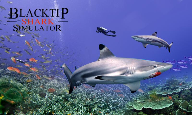 Blacktip Shark Simulator