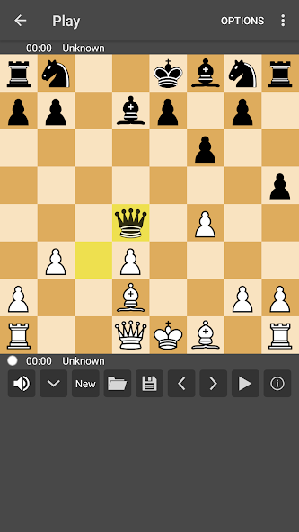 ChessBack